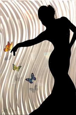 Chris DeRubeisArt titleButterfly Dance 24x36